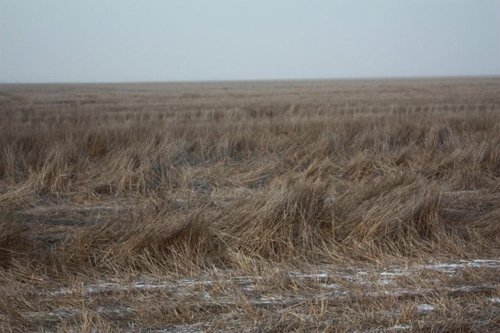 Property photo 15 - Kansas Land Auction - 960 Acres - 7 Farms in 3 Counties